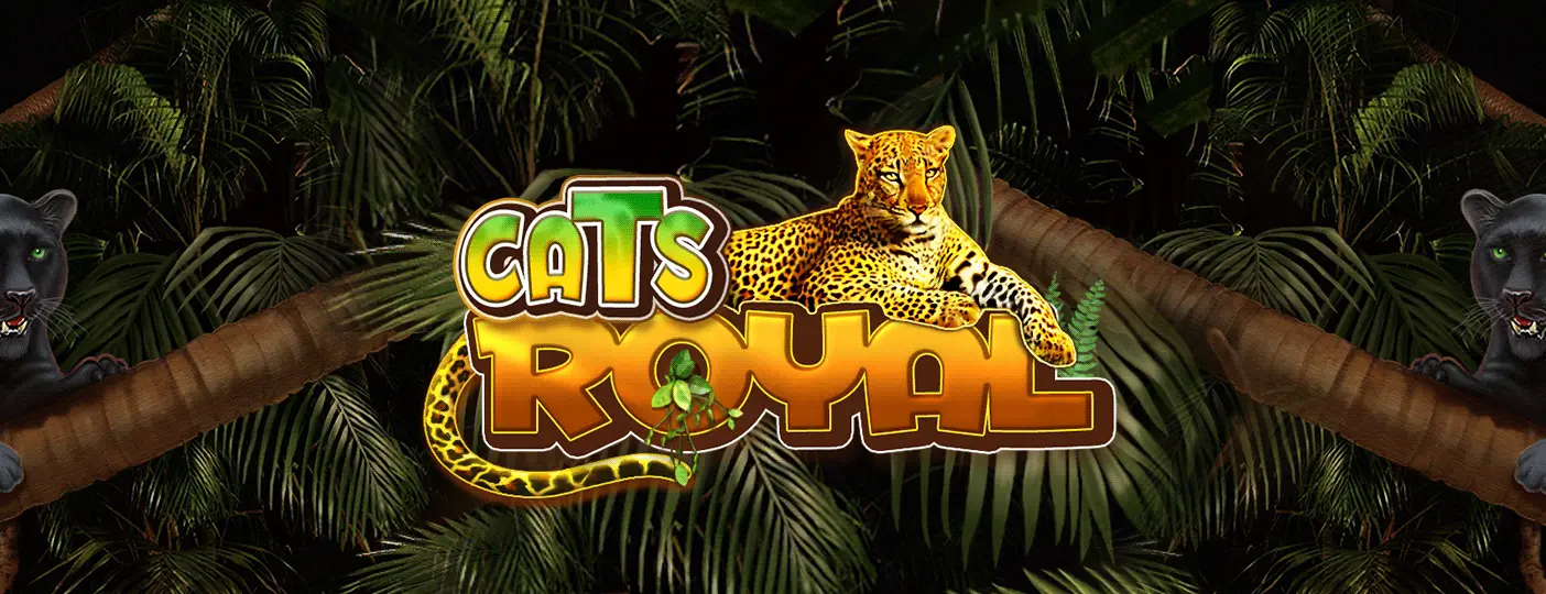 Online Casino Featured Slot Cats Royal by Amusnet - Gaming Provider